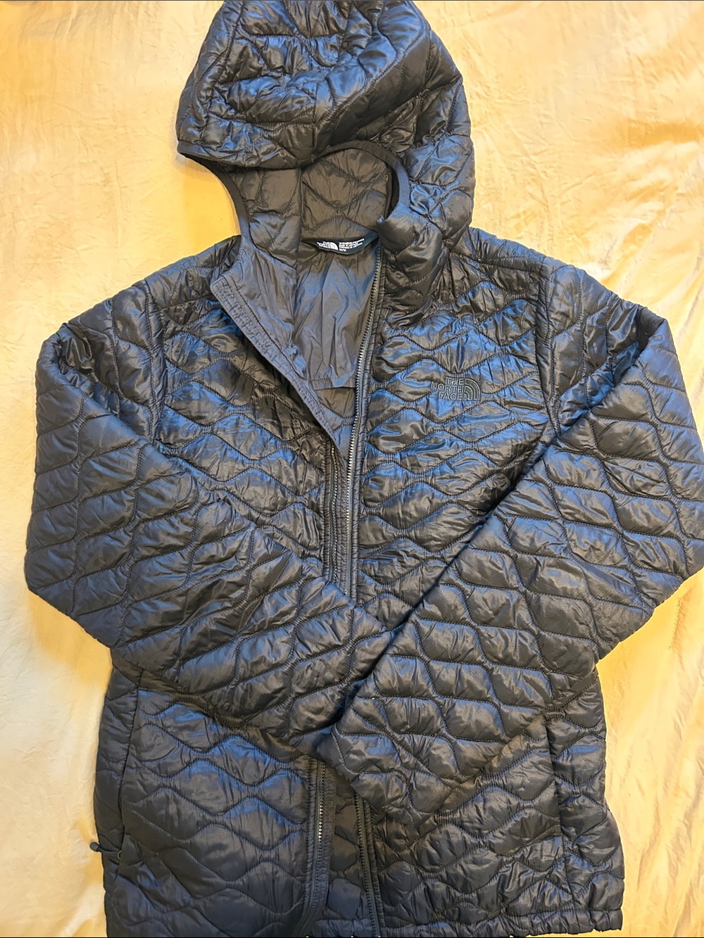 The North Face Navy Blue Quilted Hooded Puffer Jacket
